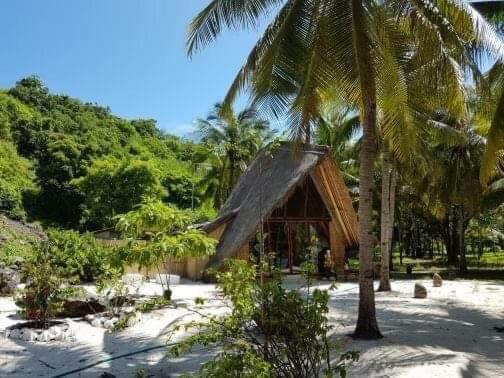 Eco Dive Resort Alycastre Maumere Kültér fotó
