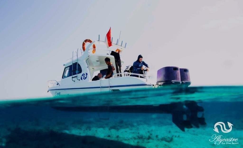 Eco Dive Resort Alycastre Maumere Kültér fotó